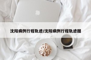 沈阳病例行程轨迹/沈阳病例行程轨迹图